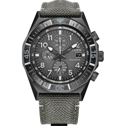 Citizen Nighthawk