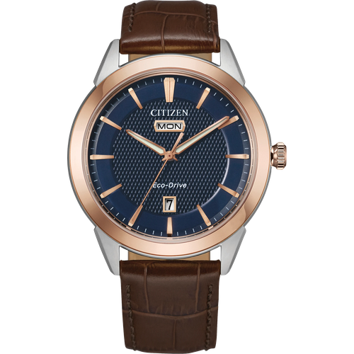 Citizen Rolan
