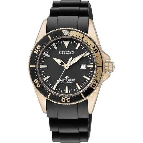 Citizen EP6044-01E
