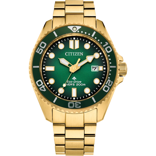 Citizen Promaster Dive