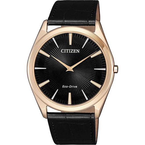 Citizen AR3073-06E