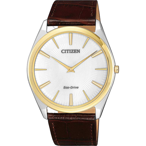 Citizen AR3074-03A