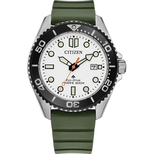 Citizen Promaster Dive