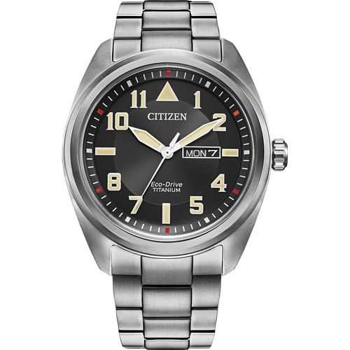 Citizen Garrison