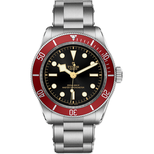 Tudor Black Bay