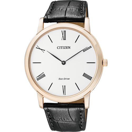 Citizen AR1113-12B