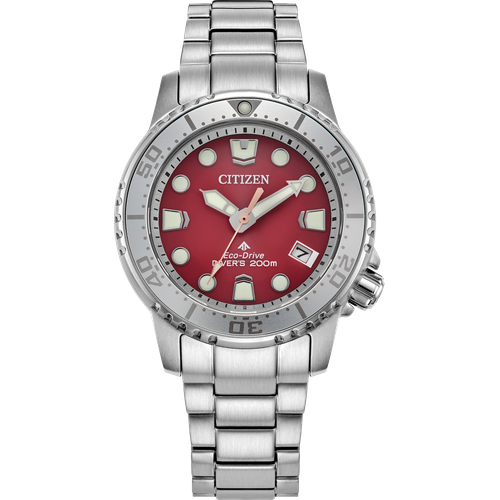 Citizen Promaster Dive