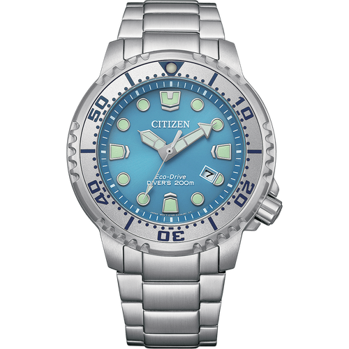 Citizen BN0165-55L
