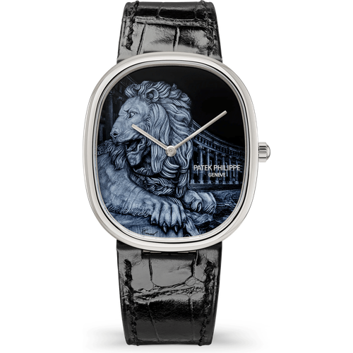 Patek Philippe Rare Handcrafts 5738