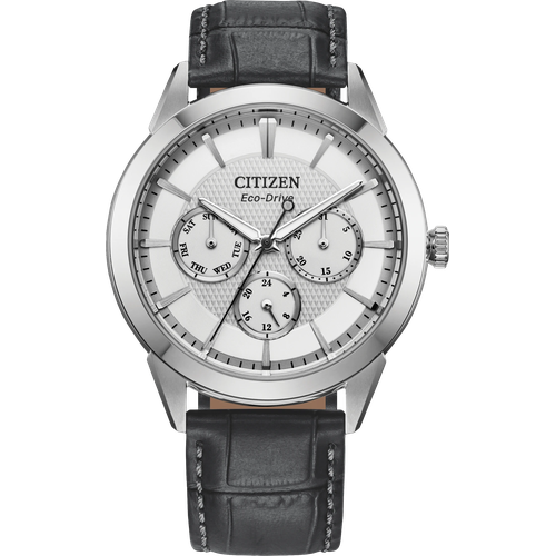Citizen Rolan