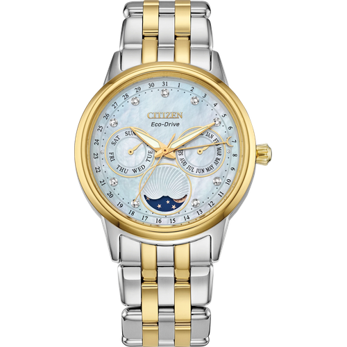 Citizen Calendrier