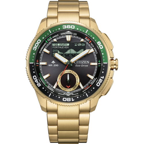 Citizen Promaster WaveTracker