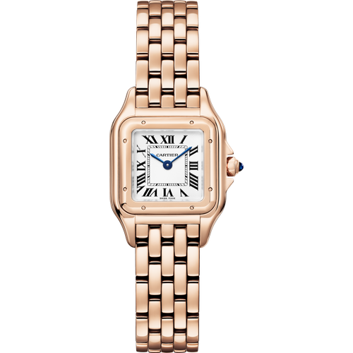 Cartier Panthère de Cartier