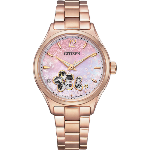 Citizen PC1017-61Y