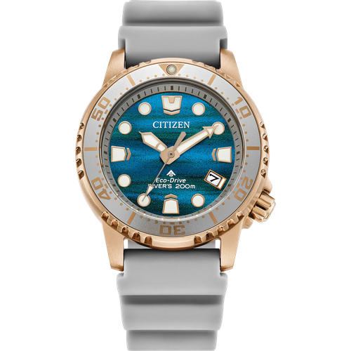 Citizen Promaster Dive