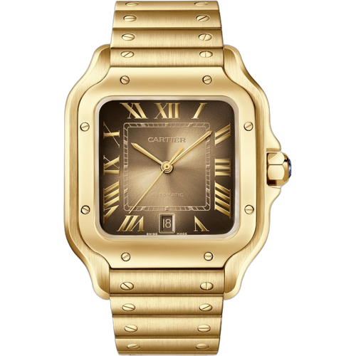 Cartier Santos de Cartier