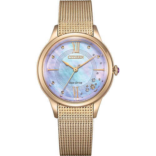 Citizen EM0817-85Y