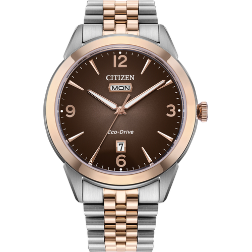Citizen Rolan