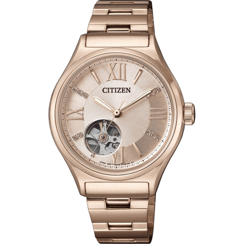 Citizen PC1003-58X
