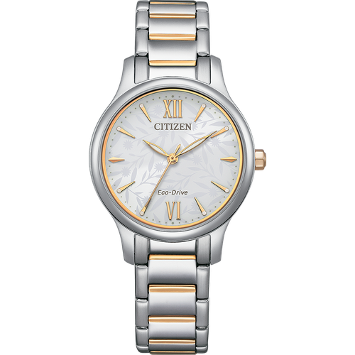 Citizen EM0895-73A