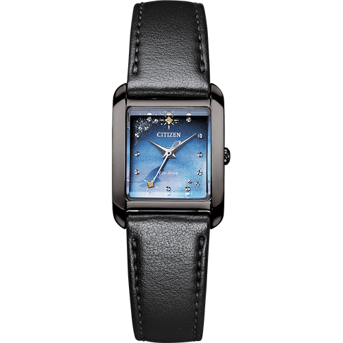 Citizen EW5607-02N