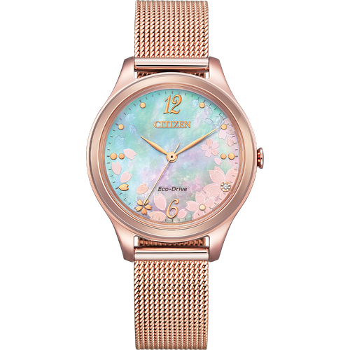 Citizen EM0508-80D