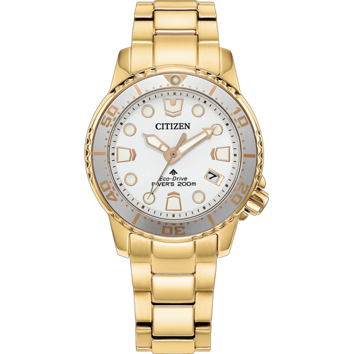 Citizen Promaster Dive