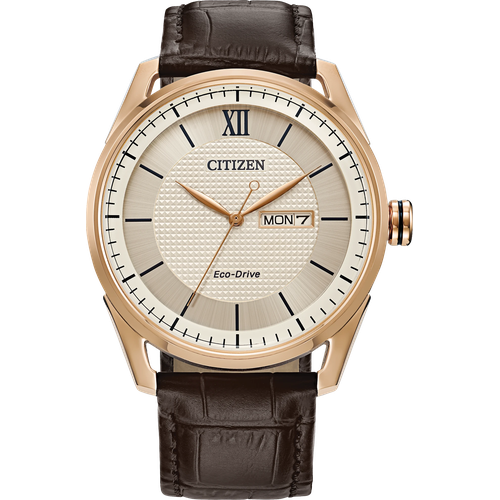 Citizen Classic