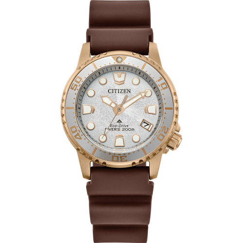 Citizen Promaster Dive