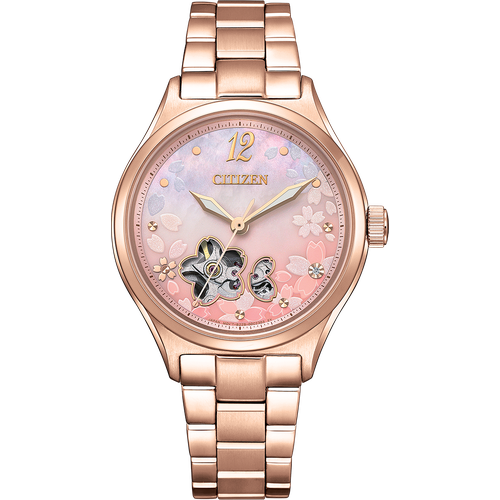 Citizen PC1017-88Y