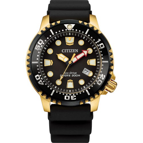 Citizen Promaster Dive