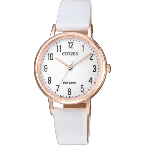 Citizen EM0579-14A