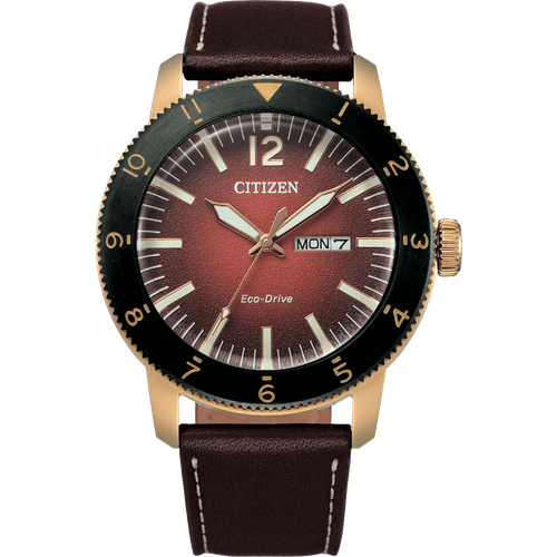 Citizen AW0079-13X