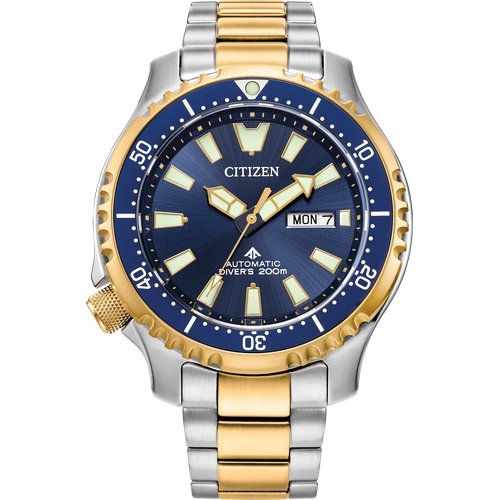Citizen Promaster Dive Automatic