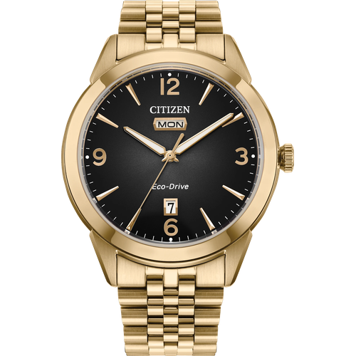 Citizen Rolan