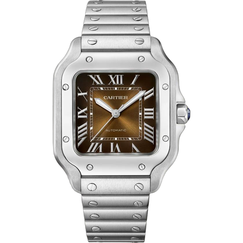 Cartier Santos de Cartier