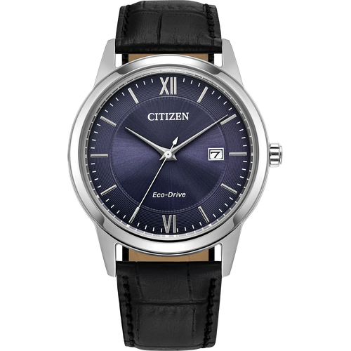 Citizen Classic