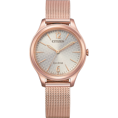 Citizen EM0508-80X