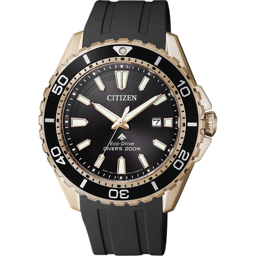 Citizen BN0193-17E