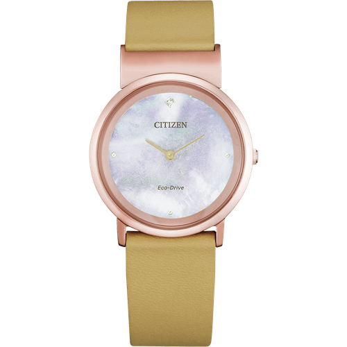 Citizen EG7073-16Y