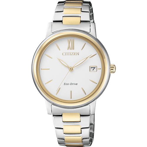 Citizen FE6094-84A