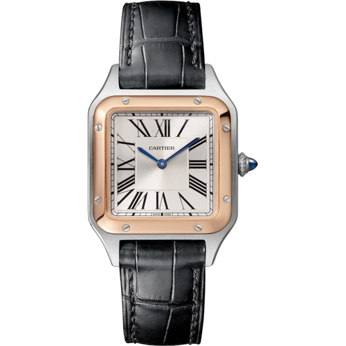Cartier Santos-Dumont