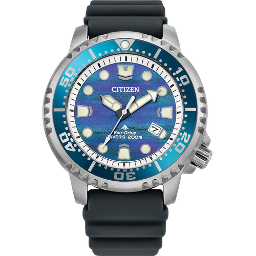 Citizen Promaster Dive