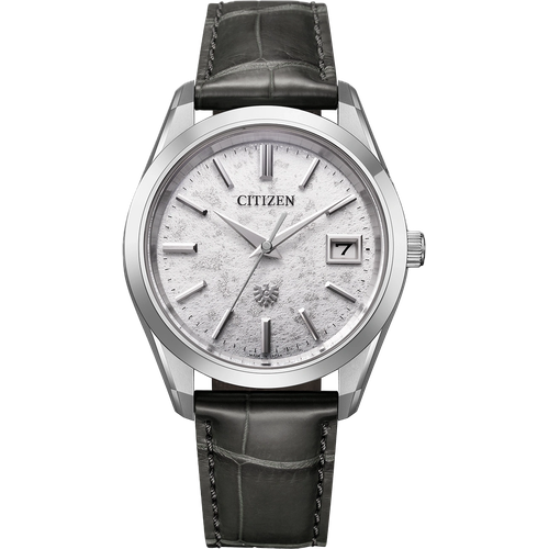 Citizen AQ4100-22A