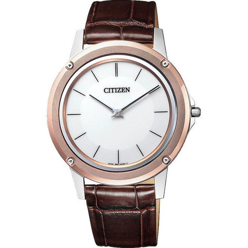 Citizen AR5026-05A