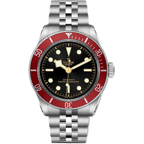 Tudor Black Bay