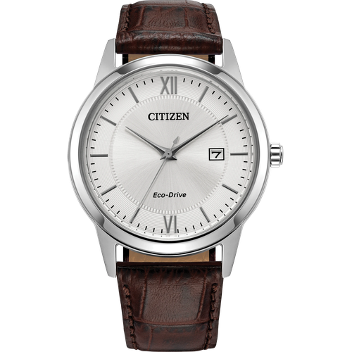 Citizen Classic
