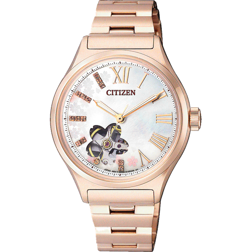 Citizen PC1003-74D
