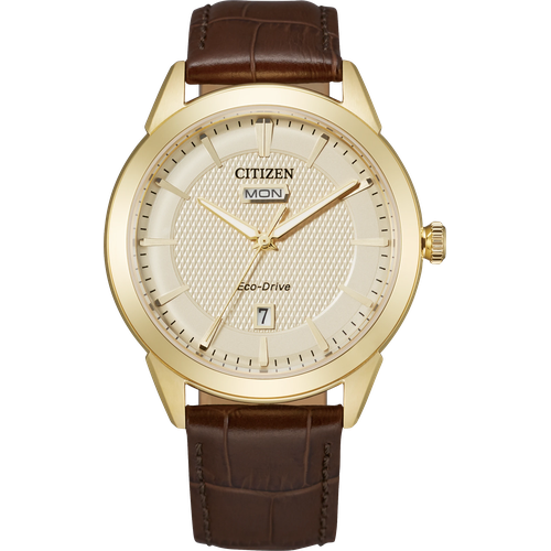 Citizen Rolan