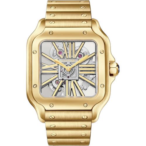 Cartier Santos de Cartier